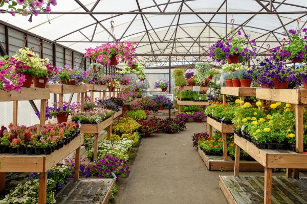 Greenhouse Setup